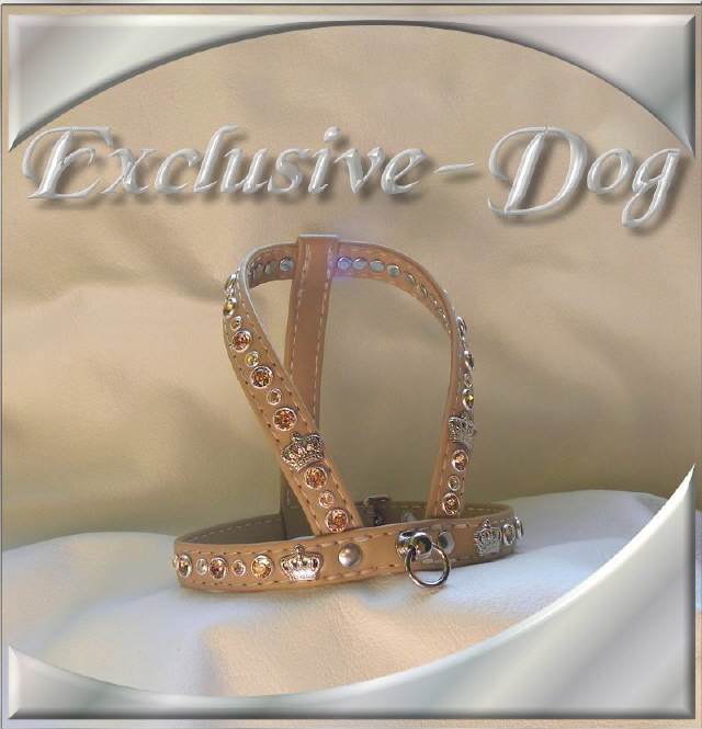 Prager Rattler Chihuahua Leder Geschirr Unikat